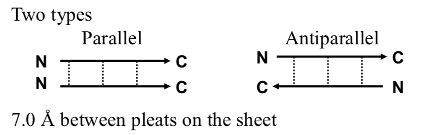 <p>2 Types of Beta Structures </p>