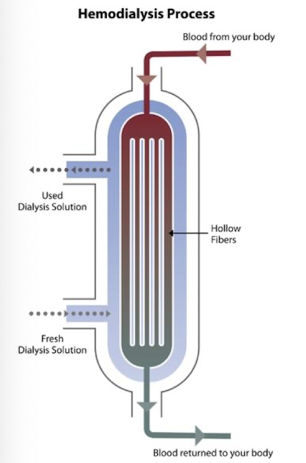 <p>filter, artificial kidney </p><p>houses semipermeable membrane</p><ul><li><p>larger pores = increased diffusion of solutes</p></li><li><p>more permeable to water transport = increased ultrafiltration of water</p></li></ul><p>blood flows through one section and dialysate through the other</p>