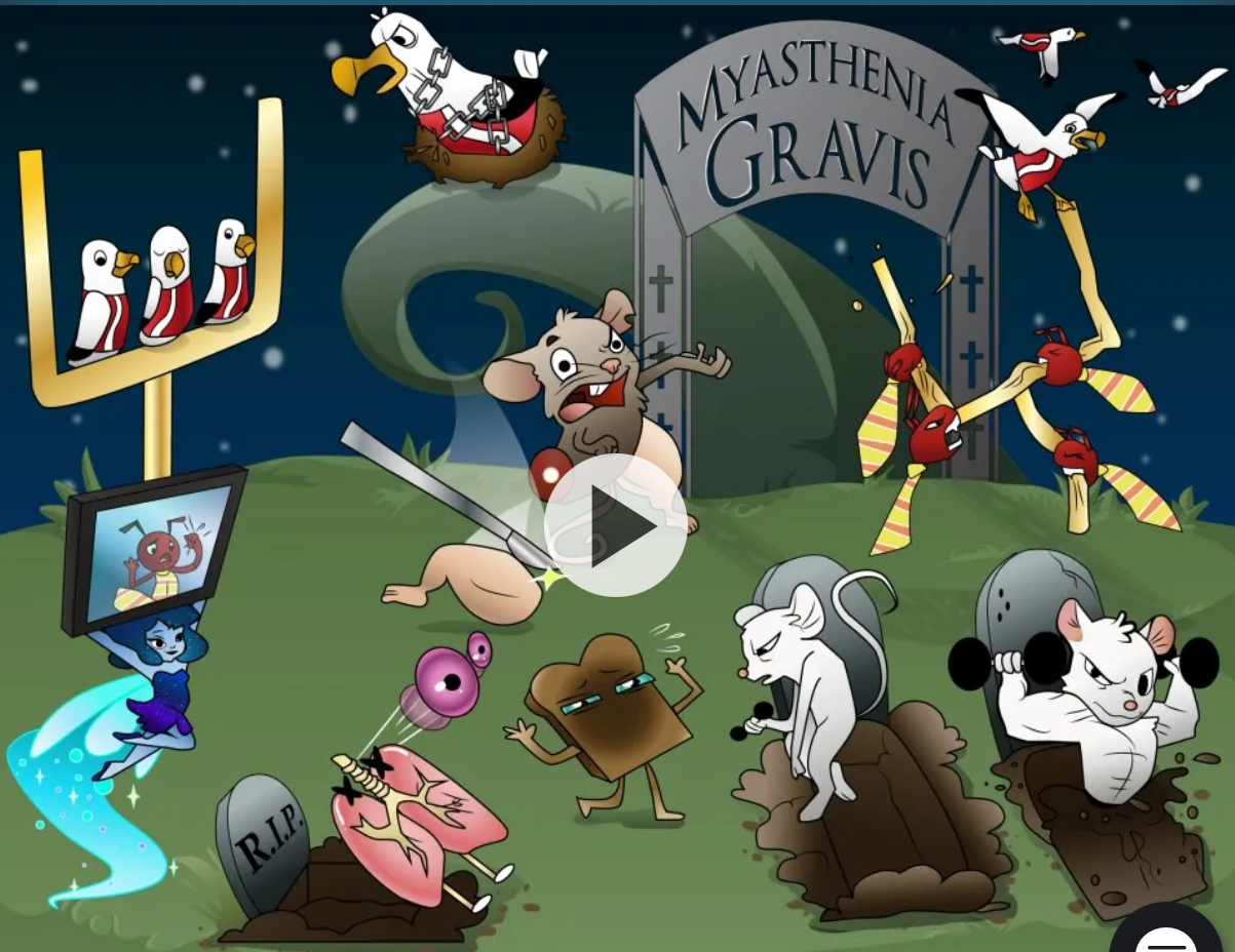<p>Rare condition caused by autoimmune attack on acetylcholine receptor</p><p>Onset</p><ul><li><p>Younger women</p></li><li><p>Older men</p></li></ul><p>Prognosis</p><ul><li><p>varied, but progressive and disabling</p></li><li><p>Death may occur from respiratory complications</p></li></ul><p>Symptoms</p><ul><li><p>Episodic muscle weakness</p><ul><li><p>Muscle fatigue after exercising</p></li><li><p>Proximal limb weakness</p></li><li><p>Weakness in muscles for swallowing/talking (dysphagia/dysarthria)</p></li><li><p>Difficulty breathing (may require ventilator)</p></li></ul></li><li><p>Impacts on eyes</p><ul><li><p>Ptosis (eyelid drooping)</p></li><li><p>Diplopia (double vision)</p></li></ul></li><li><p>Anxiety</p><ul><li><p>Tachypnea</p></li><li><p>Tachycardia</p></li><li><p>Restlessness</p></li></ul></li></ul><p>Medical Treatments</p><ul><li><p>Cholinesterase inhibitors/anticholinergics</p></li><li><p>Immunosuppressive agents/corticosteroids</p></li></ul><p></p>