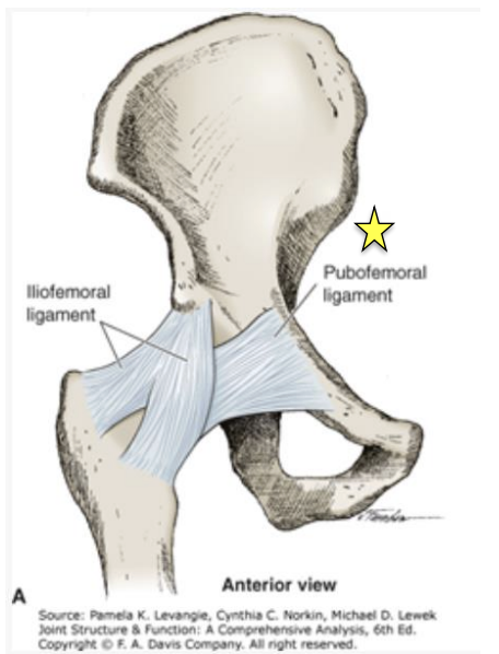 <p>O&I: anterior and inferior rim of the acetabulum and adjacent parts of the superior pubic ramus then cross joint to blend with medial band of iliofemoral ligament </p><p>-limits hip abduction, extension, ER </p>