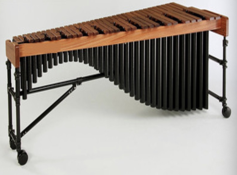 <p>This instrument is called:</p>
