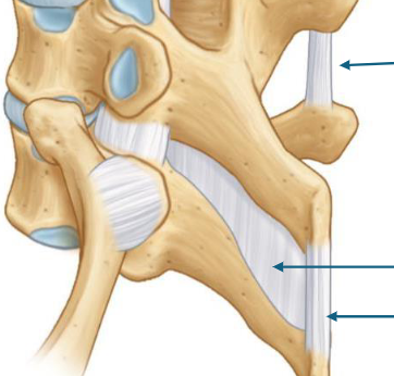 <p>top to bottom </p>