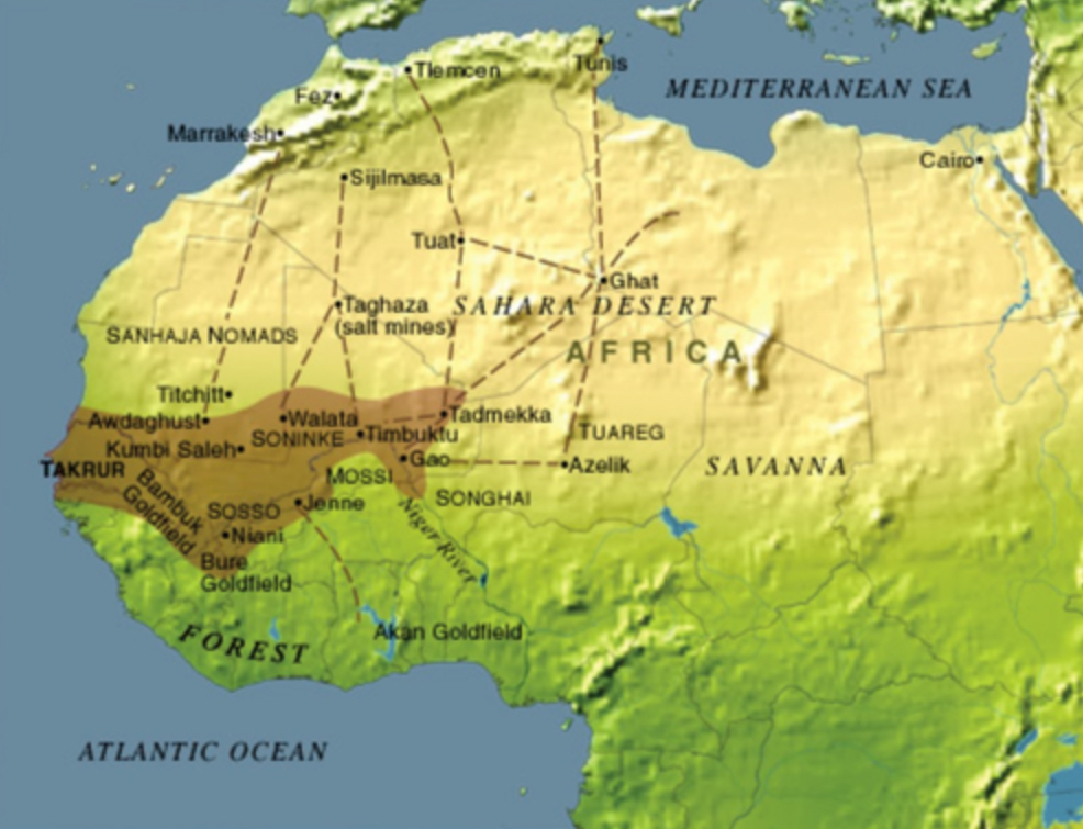 <p>An Islamic West African empire that conquered Mali and controlled trade from the into the 16th century; eventually defeated by the Moroccans who were broke after fighting with Portugal</p>
