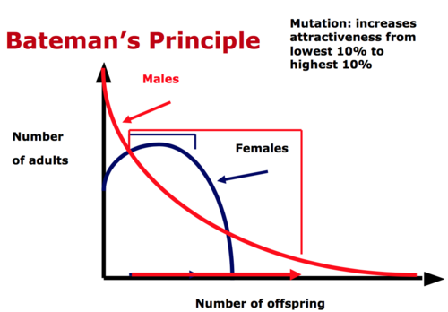 <p>Males have greater variance in reproductive success than females </p>