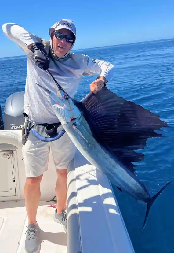 <p>Very long pelvic fins</p><p>dorsally dark blue, coppery sides and silver below </p><p>dorsal fin bluish-black to dark brownish-blue with dark spots</p><p>dorsal tall and sail-like</p>