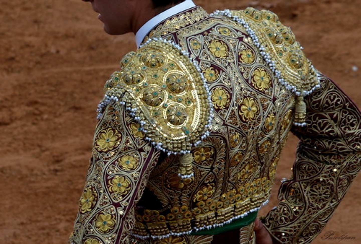 <p>bullfighter's outfit (lit. costume of lights)</p>