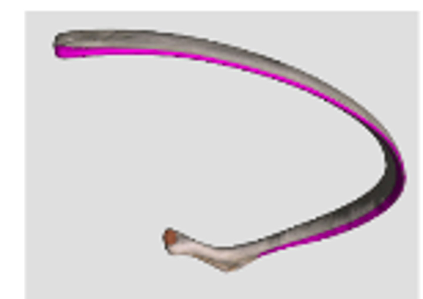 <p>Fåra på insidan av revbenets underkant i dess dorsala hälft. Innehåller arteria, vena och nervus intercostalis.</p>