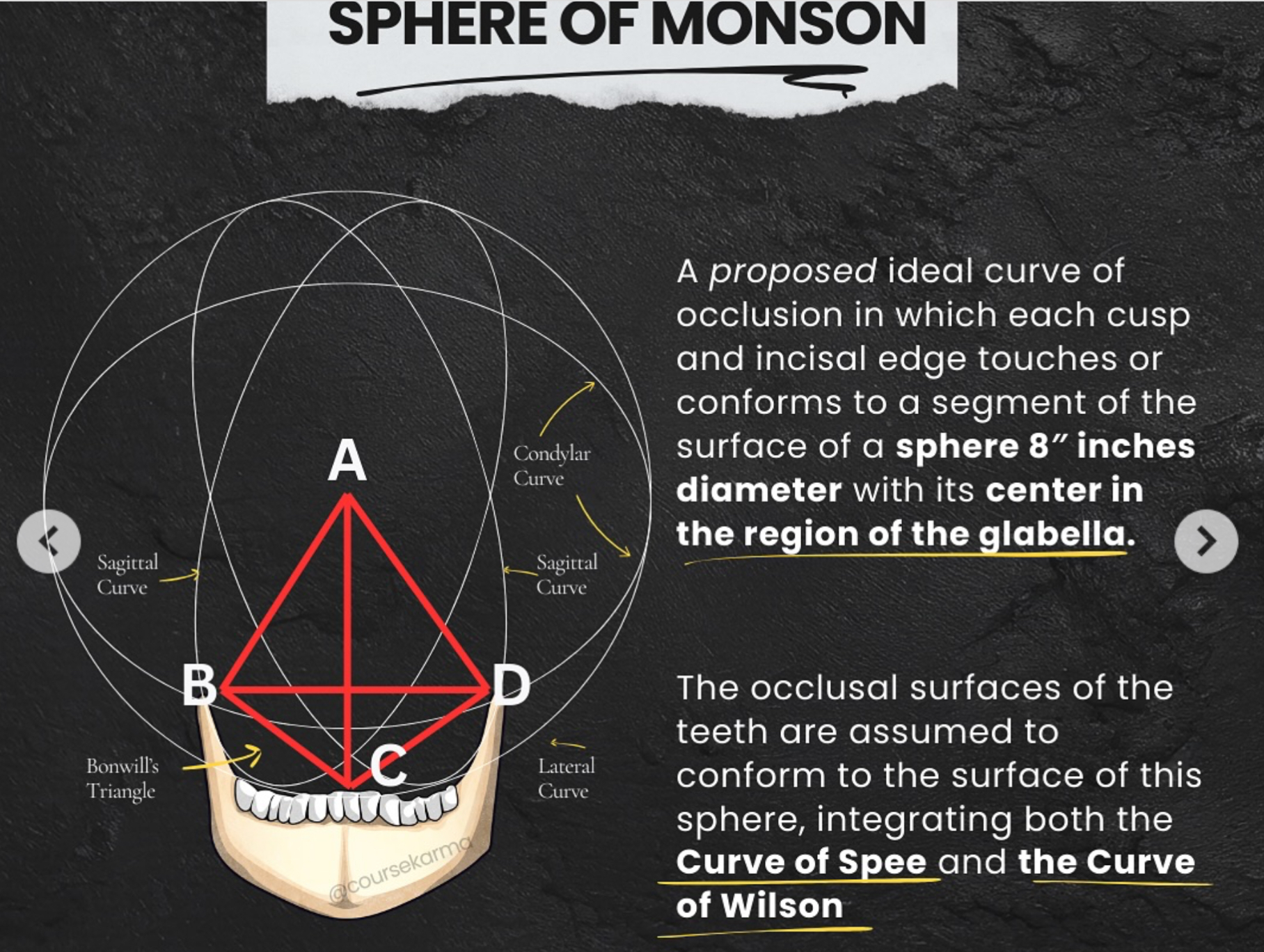 <p>The&nbsp;Sphere&nbsp;of&nbsp;Monson,&nbsp;also&nbsp;known&nbsp;as&nbsp;Monson's&nbsp;spherical&nbsp;theory,&nbsp;is&nbsp;a&nbsp;concept&nbsp;in&nbsp;dentistry&nbsp;proposing&nbsp;that&nbsp;the&nbsp;occlusal&nbsp;surfaces&nbsp;(biting&nbsp;surfaces)&nbsp;of&nbsp;natural&nbsp;teeth,&nbsp;when&nbsp;viewed&nbsp;in&nbsp;3D,&nbsp;conform&nbsp;to&nbsp;a&nbsp;segment&nbsp;of&nbsp;a&nbsp;sphere.&nbsp;</p><p></p>