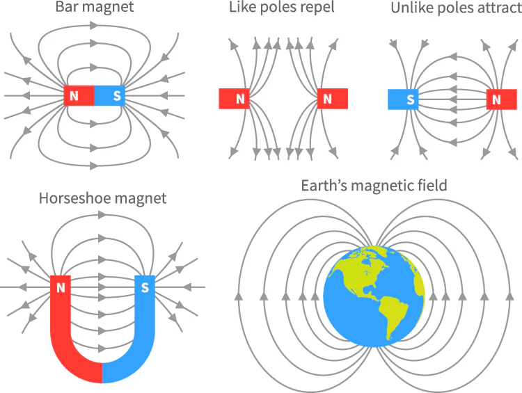 <ul><li><p>magnetic field is tangent to the lines</p></li><li><p>density of the lines is proportional to the strength of the field</p></li><li><p>field lines never intersect</p></li><li><p>they point from the north pole to the south pole outside the magnet</p></li><li><p>there are no magnetic monopoles so the field lines are ALWAYS closed loops</p></li></ul>