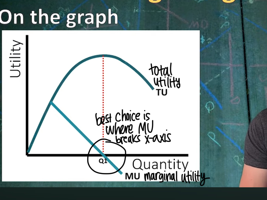 <p>The marginal utility decreases as the quantity of the good increases </p>