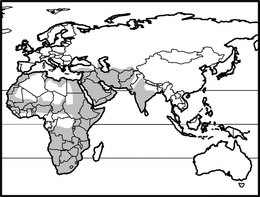 africa, except sahara and congo basin; middle east from turkey through arabian peninsula to india