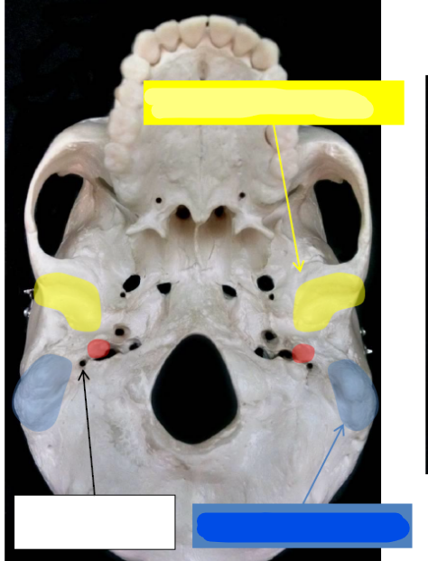 <p>What is the blue term?</p>