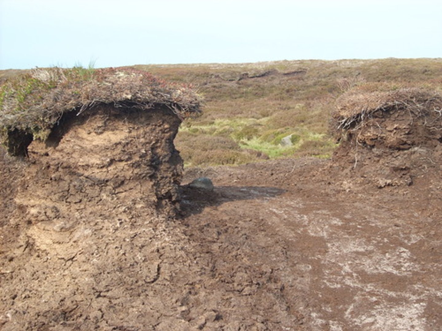 <p>This is the destructive action of the water in the river which wears away land.</p>