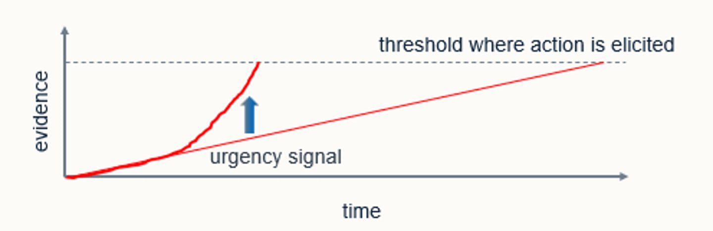 <p>a long deliberation time is costly as may reduce the rate of obtaining a potential reward. </p><p>- evidence accumulation signal needs to be pushed over the threshold to take action so the urgency signal pushes this evidence to the threshold to shorten the deliberation time. </p>