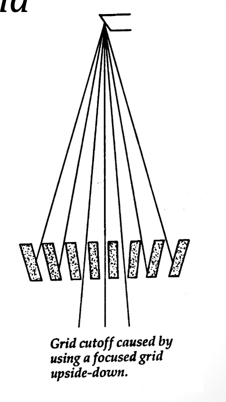 <p><strong>What is Upside-down Grid</strong></p>