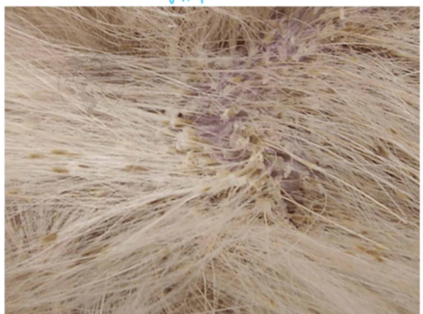 <p>what is this?</p>