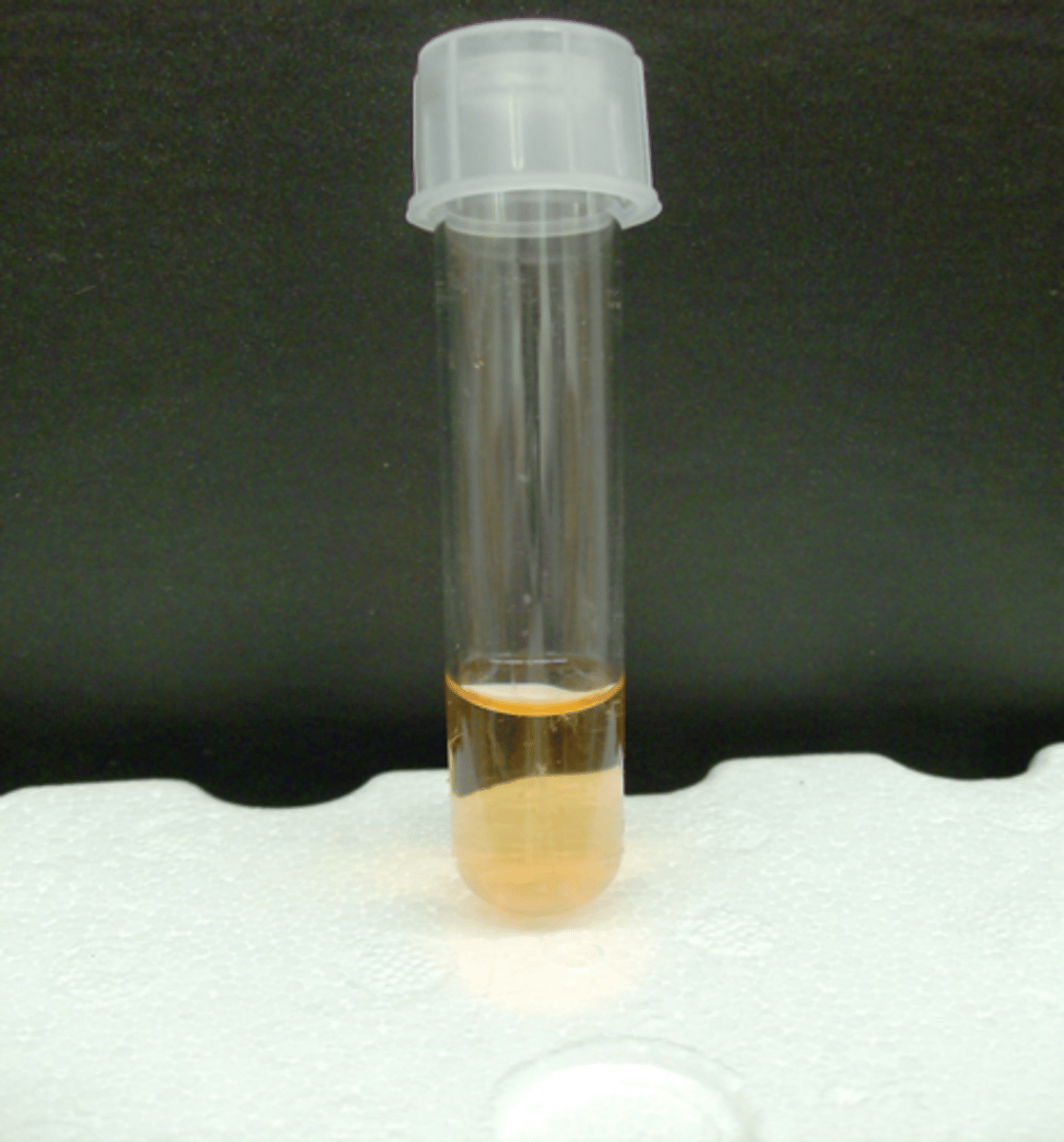 <p>tube remains yellow/peachy color</p>