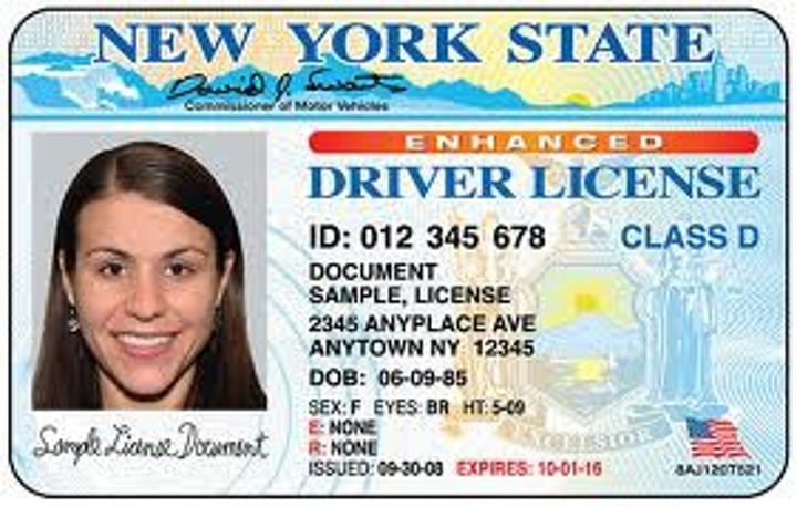 <p>driver's license</p>