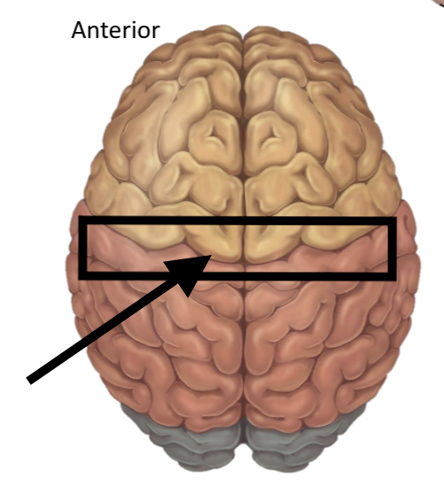 <p>Name the structure</p>