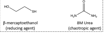 <p>8M Urea and beta-mercaptoethanol</p>