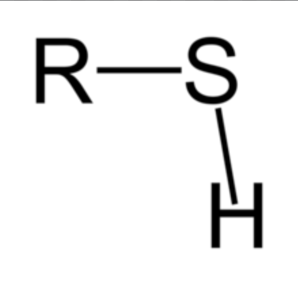 <p>Only wants to bond with Sulfur; forms disulfide bridges</p>