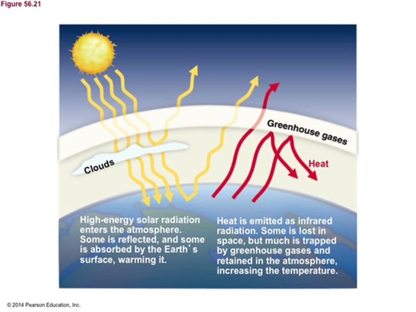 <p>the trapping of the sun's warmth in a planet's lower atmosphere due to the greater transparency of the atmosphere to visible radiation from the sun than to infrared radiation emitted from the planet's surface</p>