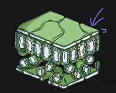 <p>what is this part of the leaf called and what is its function?</p>