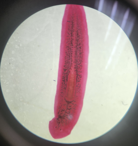 <p>What is this?</p>