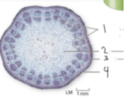 <p>what is 3</p>