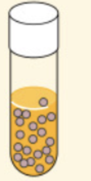 <p>like obligate anaerobes, <u>cannot use oxygen to transform energy</u> but can grow in its presence.</p><p>-They obtain energy only by <strong>fermentation and are known as obligate fermenters.</strong></p><p><strong>*Presence of SOD that allows partial neutralized form of oxygen</strong></p><p><strong>Ex: Lactococcus lactic, Enterococcus faecalis</strong></p>