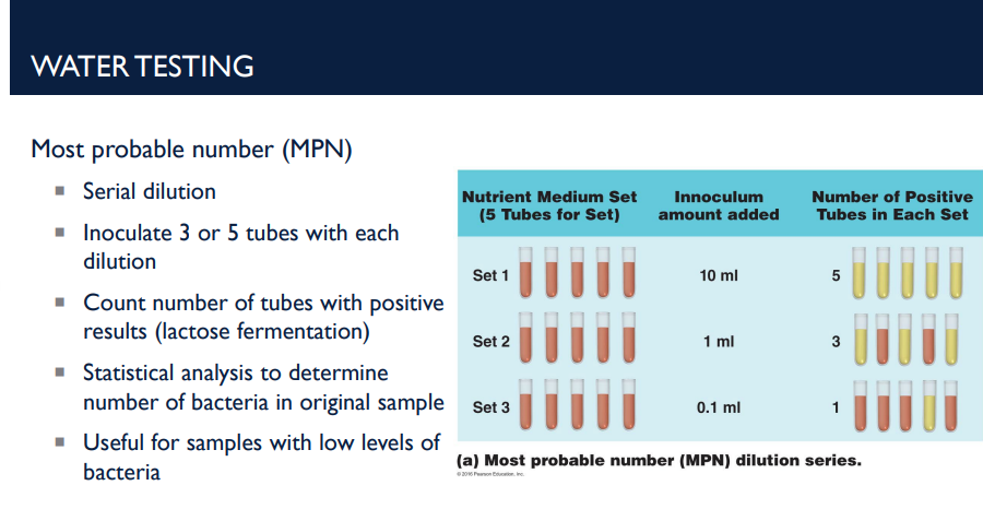 <p><strong>Step-by-Step Process</strong> </p><ol><li><p><strong>Serial Dilution</strong></p><ul><li><p>The water sample is diluted step by step to reduce bacterial concentration.</p></li></ul></li><li><p><strong>Inoculate Tubes</strong></p><ul><li><p>3 or 5 tubes are inoculated for each dilution level.</p></li><li><p>Tubes contain <strong>lactose broth</strong> to test for lactose-fermenting bacteria (like coliforms).</p></li></ul></li><li><p><strong>Observe Positive Results</strong></p><ul><li><p>A <strong>positive tube</strong> shows <strong>lactose fermentation</strong>, usually indicated by a <strong>color change or gas production</strong>.</p></li></ul></li><li><p><strong>Count Positive Tubes</strong></p><ul><li><p>Record the number of positive tubes at each dilution.</p></li></ul></li><li><p><strong>Statistical Analysis</strong></p><ul><li><p>Use <strong>MPN tables</strong> to estimate the <strong>number of bacteria in the original sample</strong> based on the pattern of positives.</p></li></ul></li></ol><p></p>