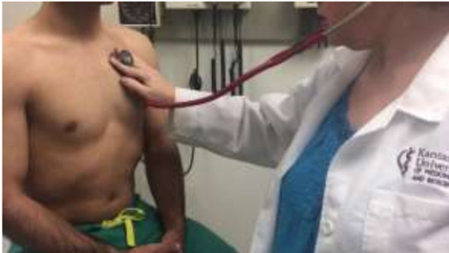 <p>Identify S1 and S2 heart sounds.</p>