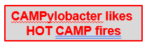 <p><strong>CAMPylobacter likes HOT CAMP fires</strong></p><p></p><ul><li><p>Indicates that <strong>Campylobacter jejuni grows best at higher temperatures</strong> (<strong>42°C</strong>), which is similar to the body temperature of birds, one of its main reservoirs.</p></li><li><p><strong>Campylobacter jejuni is thermophilic</strong> (heat-loving) and grows optimally at <strong>42°C</strong>, unlike many other enteric bacteria that prefer <strong>37°C</strong>.</p></li></ul><p></p>