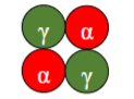 <p>(α₂γ₂) – foetal haemoglobin.</p>