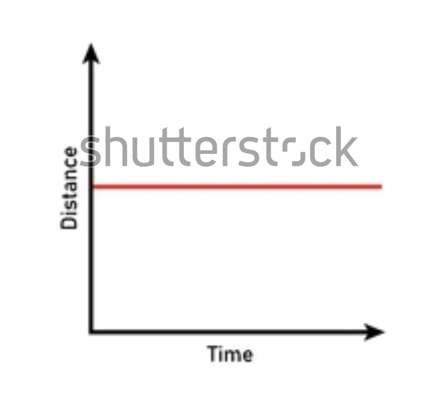 <p>Describe the motion</p>
