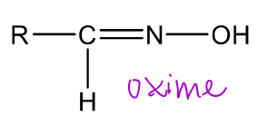 <p>A functional group that can be spontaneously formed from a nitroso group of 1° amine N-oxidation</p>