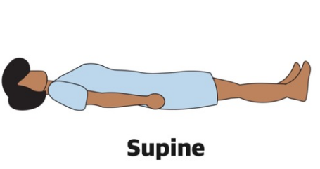 <p>Supine</p>