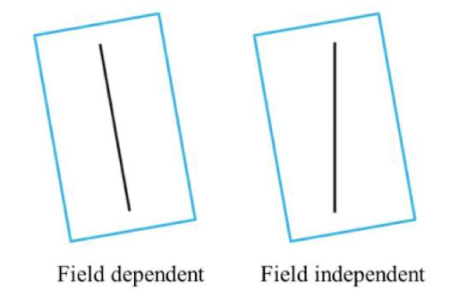 <p>The degree to which a person’s perception is affected by the context or surrounding environment (“field”) → tested through rod and frame test</p><ul><li><p>Field dependent: More affected by context/environment → distracted by the frame</p></li><li><p>Field independent: Less affected by context/environment → less distracted by the frame so able to give more accurate answers</p></li><li><p>East Asians are more field-dependent (cultural views influence how people see the world; including detail-oriented things that have nothing to do with social norms</p></li></ul>