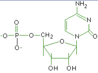 <p>What macromolecule is this?</p>