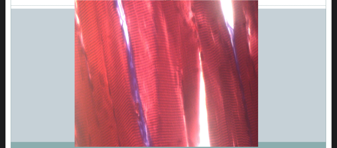 term image
