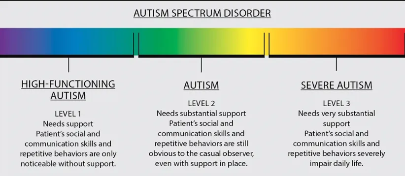 <p>level 1 - high functioning autism</p><p>level 2 - autism</p><p>level 3 - severe autism</p>