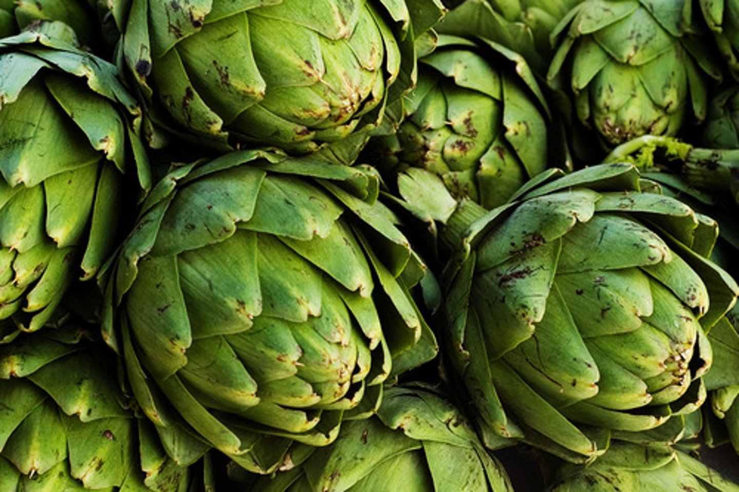 <p>artichoke</p>