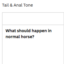 <p>Tail &amp; Anal Tone</p>