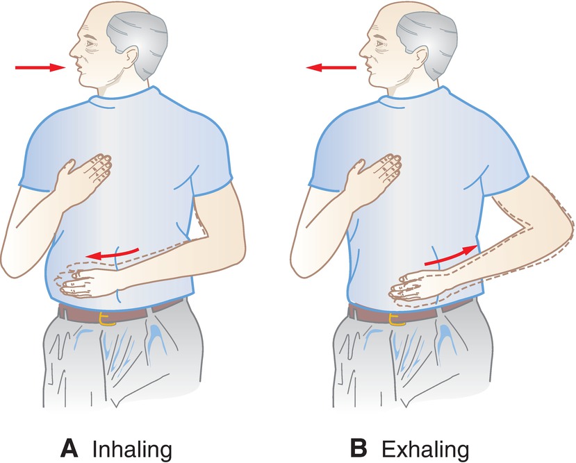 <ul><li><p>instruct the patient in breathing exercises</p><ul><li><p><span>A. With one hand on the stomach (below the ribs) and the other over the middle anterior chest, the patient should inhale deeply to the count of one. The hand over the stomach should move outwardly as the diaphragm and stomach move downward; the hand over the chest should not move. </span></p></li><li><p><span>B. Expire air slowly to the count of three. The hand over the stomach should be pulled closer to the body as the diaphragm and stomach move upward; the hand over the chest should not move.</span></p></li></ul></li><li><p>control symptoms (e.g., pain) that could threaten effective respirations</p></li><li><p>raise the head of bed at least 30 degrees</p></li><li><p>instruct the patient to turn, cough, and deep breathe at least once every 2 hours</p></li><li><p>monitor rate, depth, and rhythm of respirations</p></li></ul>