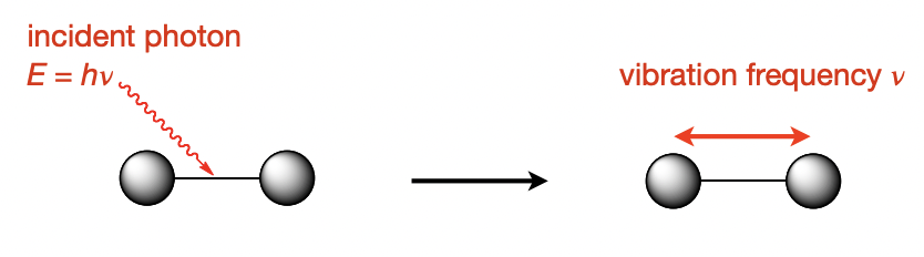 <p>(lower = IR region) energy photon is <strong>absorbed</strong> by the molecule and excites a vibration </p>