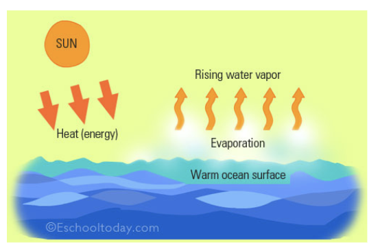 <p>Evaporation</p>