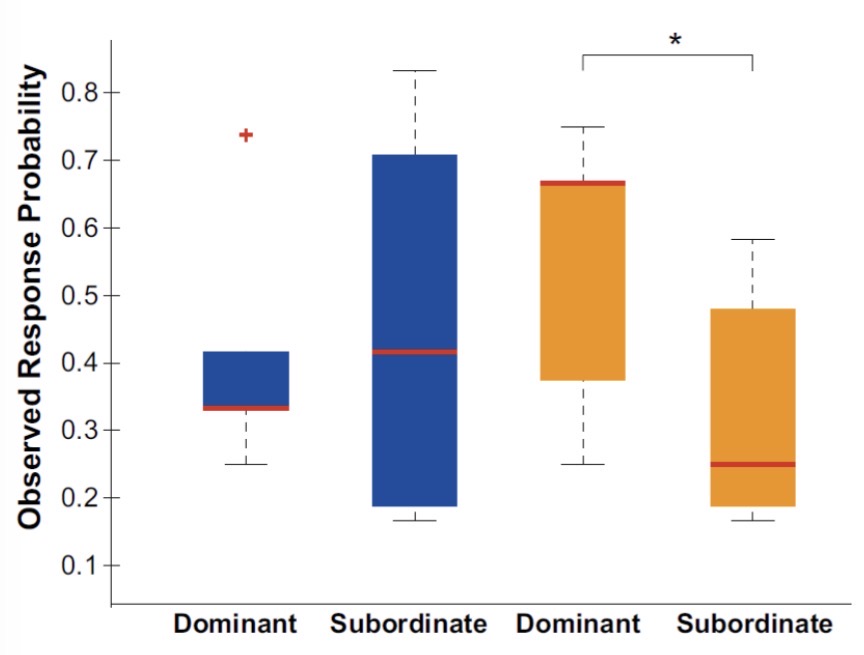 <p>But only seen in yellow males because The Flank of Dominant Yellow Males is More Reflectant in the UV and Yellow!</p>
