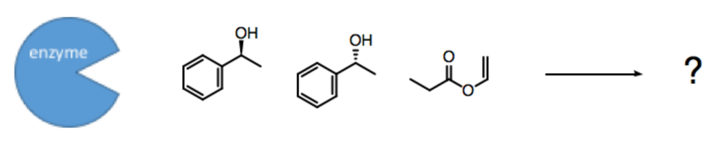 A cartoon of a lipase with an acylating agent and a racemic mixture of an alcohol is shown (see picture).

What are the likely products of the reaction?