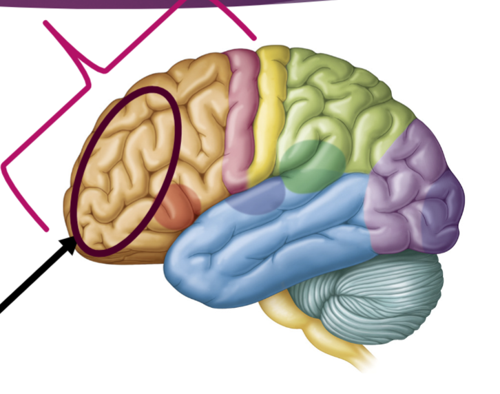 <p>What is the arrow pointing to?</p>