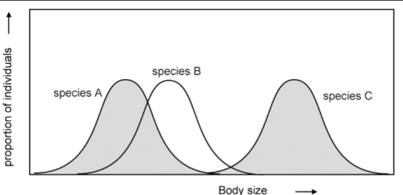 <p>a niche is the environment and way of life of a species</p><p>greater overlap in niches leads to greater competition </p>